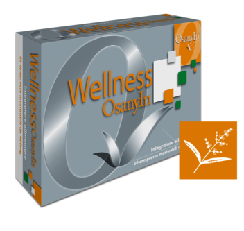 WELLNESS (Stress, Studio, Sport)